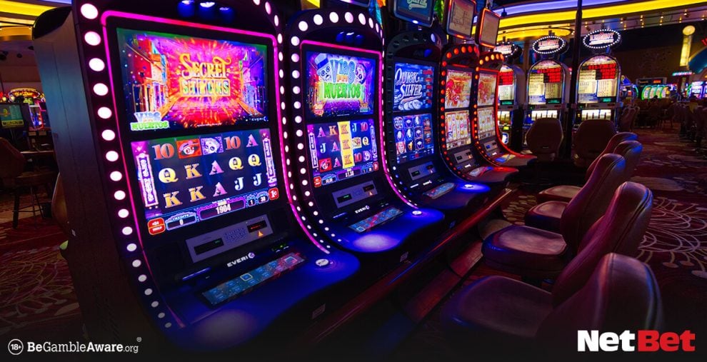 dddboi|Bingo Online com Promoções Exclusivas – Registre-se Rápido